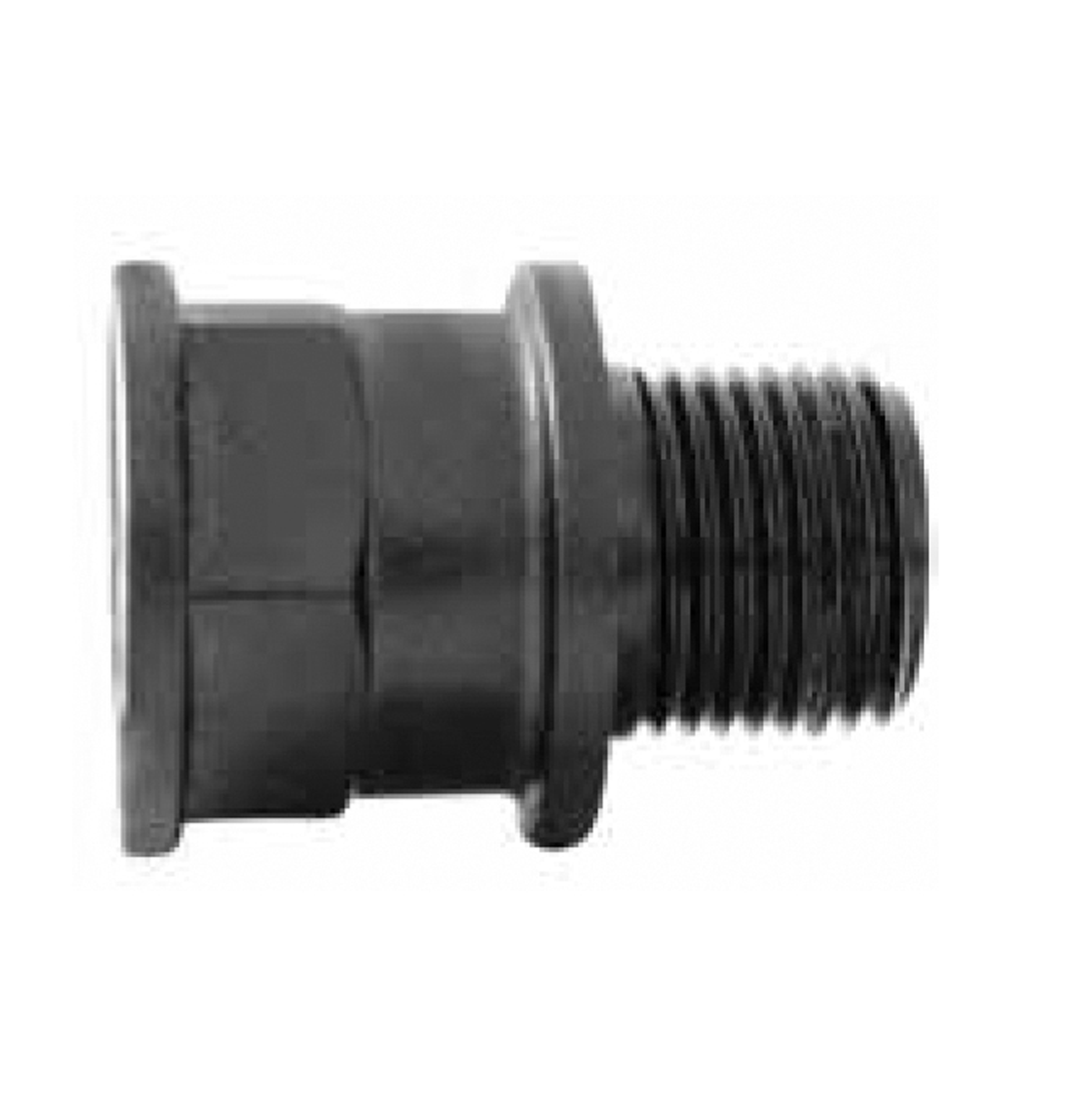 MANGUITO MACHO - HEMBRA